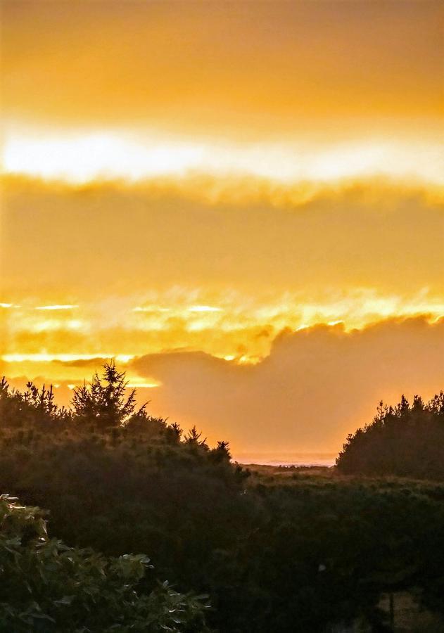 Boreas Bed & Breakfast Inn Long Beach Exteriér fotografie